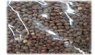 KACANG KUDA HITAM (100G)