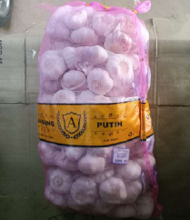 W.GARLIC 7CM (+/- 500G) 1BDL X 20PKT